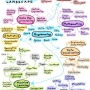 guide-become-data-scientist.jpeg