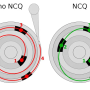 ncq.png